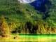 上?；榻閰f(xié)會(huì)(上?；榻閰f(xié)會(huì)會(huì)長(zhǎng))
