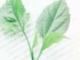 吃榴蓮的7大禁忌(吃榴蓮的7大禁忌不是每個(gè)人都適合吃榴蓮)
